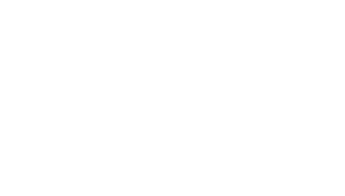 Bloom & Bee - Houston, TX